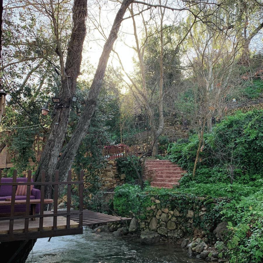 Tree House by the River – Sirjbel, Chouf