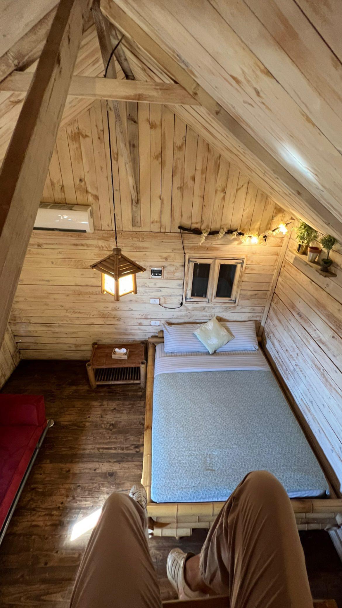 Large Cabin 4