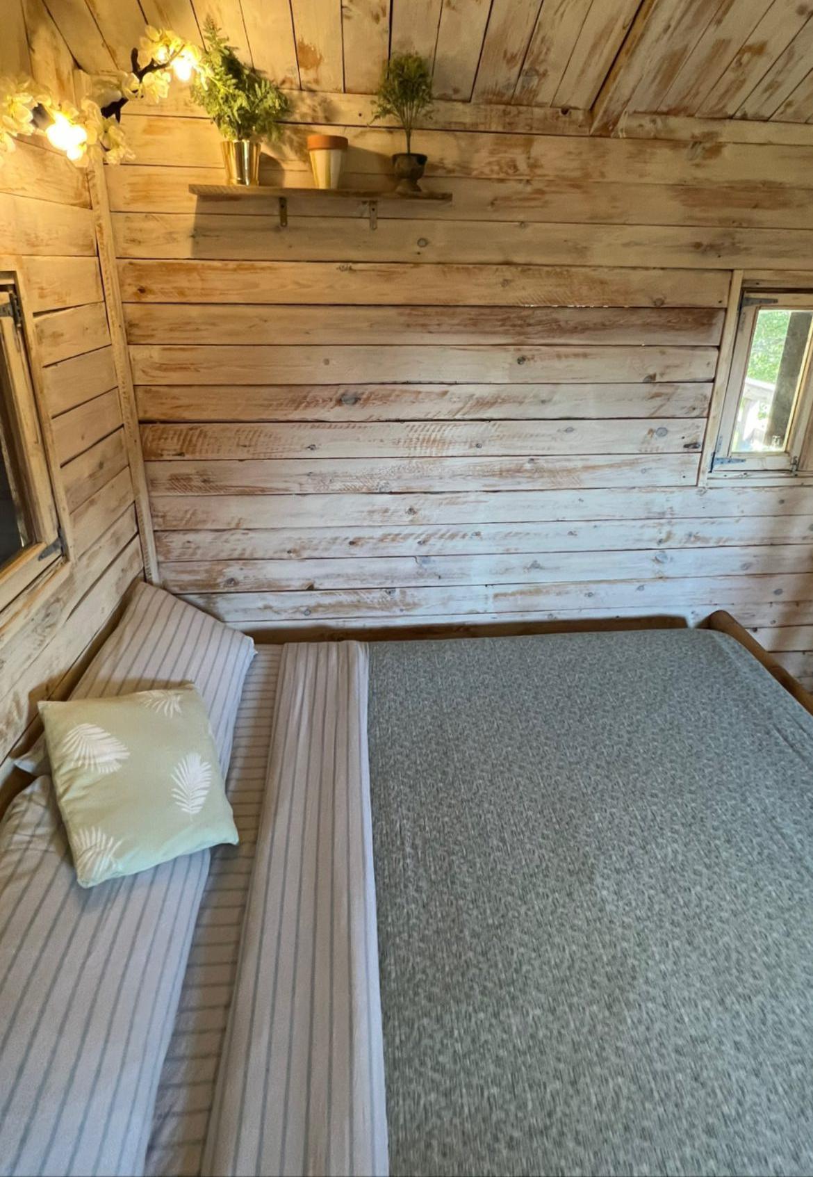 Large Cabin 3