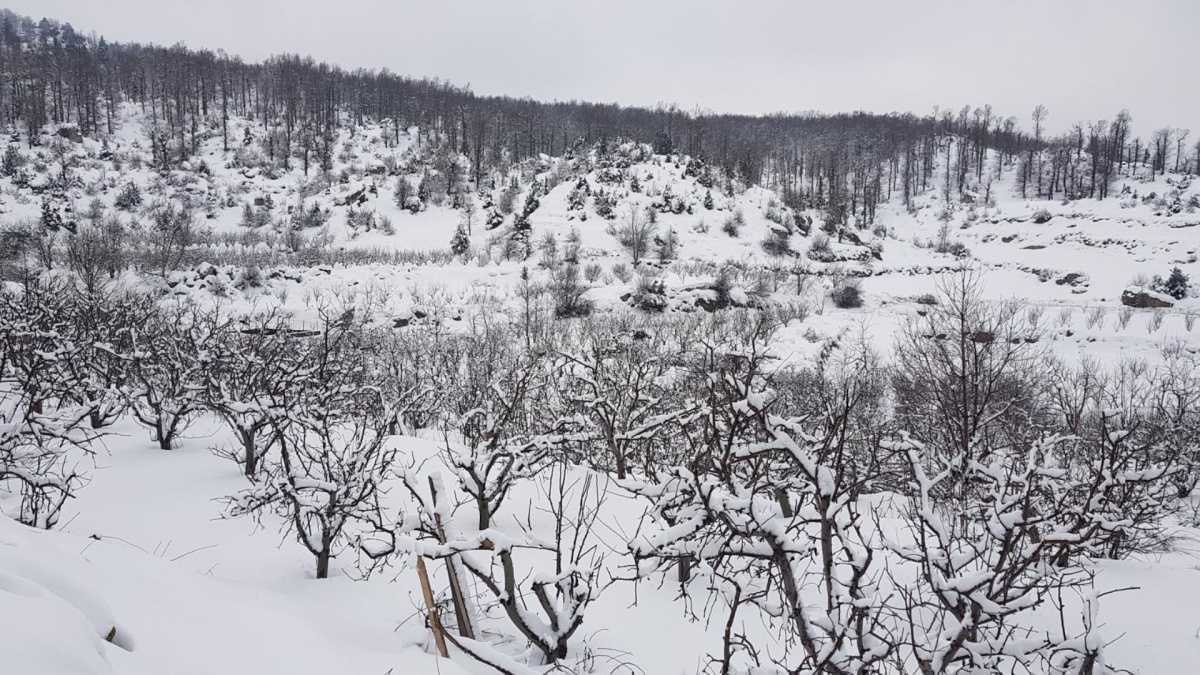 Hike in Aazr Forest