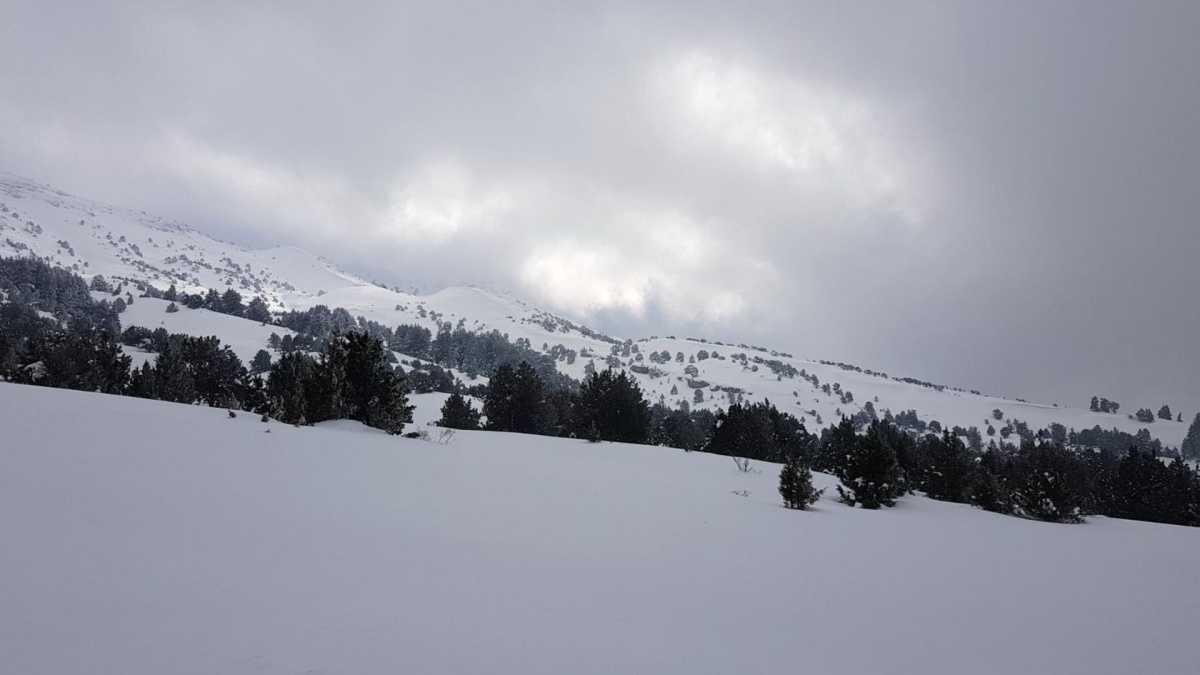 Hike in Aazr Forest