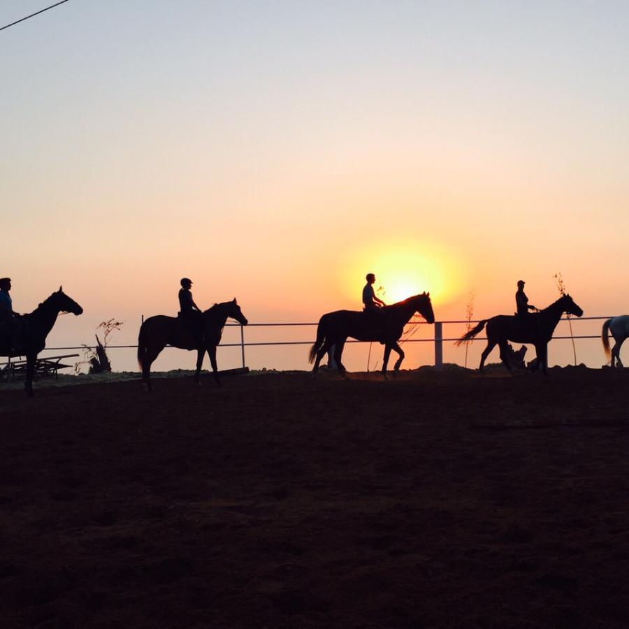 Hacienda horse riding