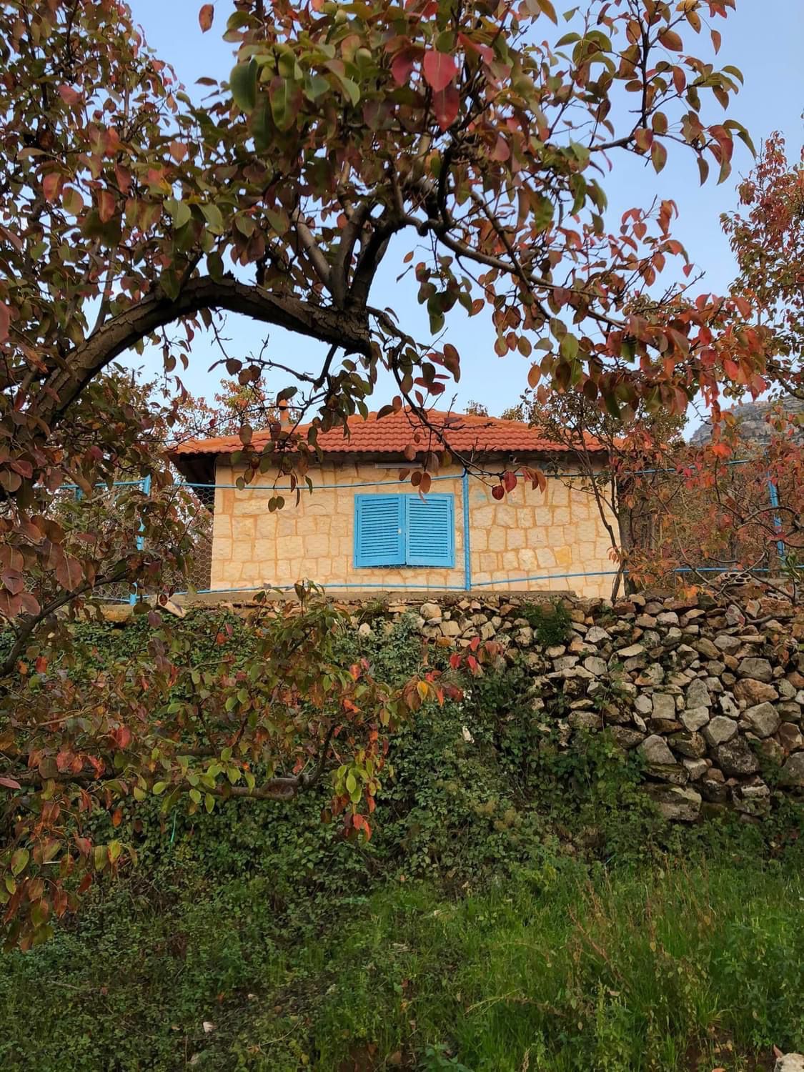 Stone Chalet – Bqarsouna, Dannieh