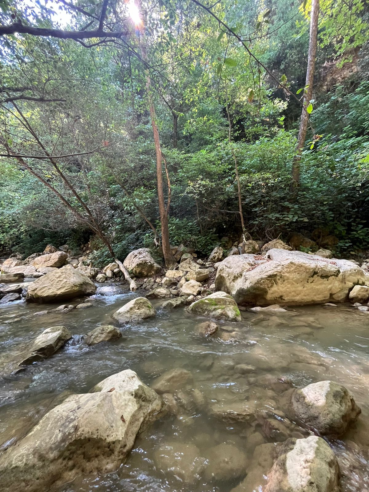 Rechmaya Waterfall