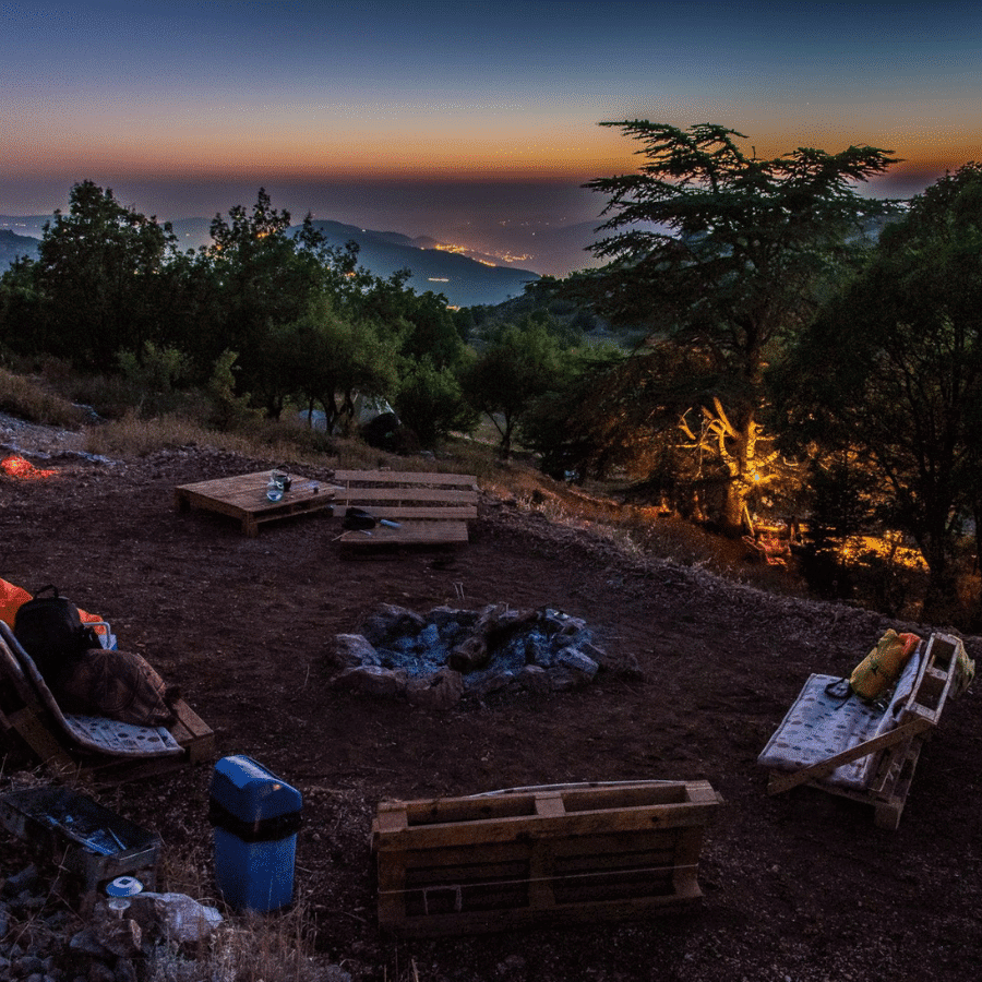 Authentic camping experience-Cedars forest