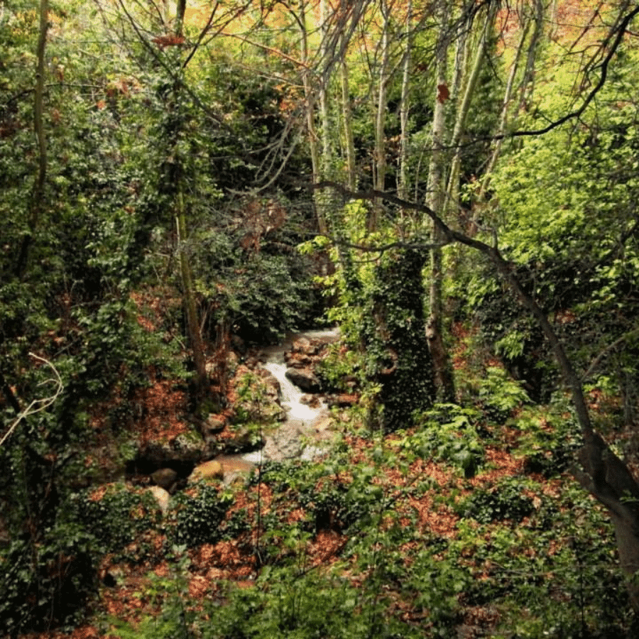 Hike Wadi Qannoubine