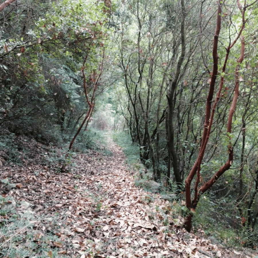 Chnaniir Nature Reserve