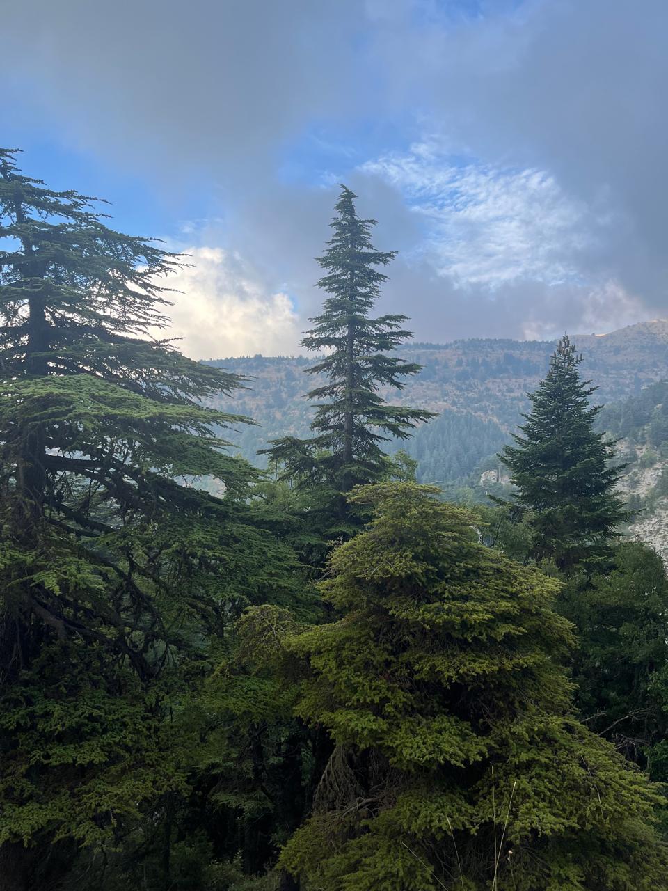 Horsh Ehden Nature Reserve