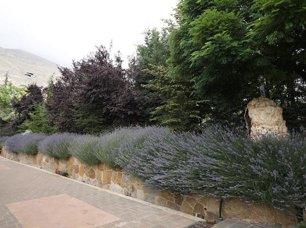 Luxurious Guesthouse – Ehden